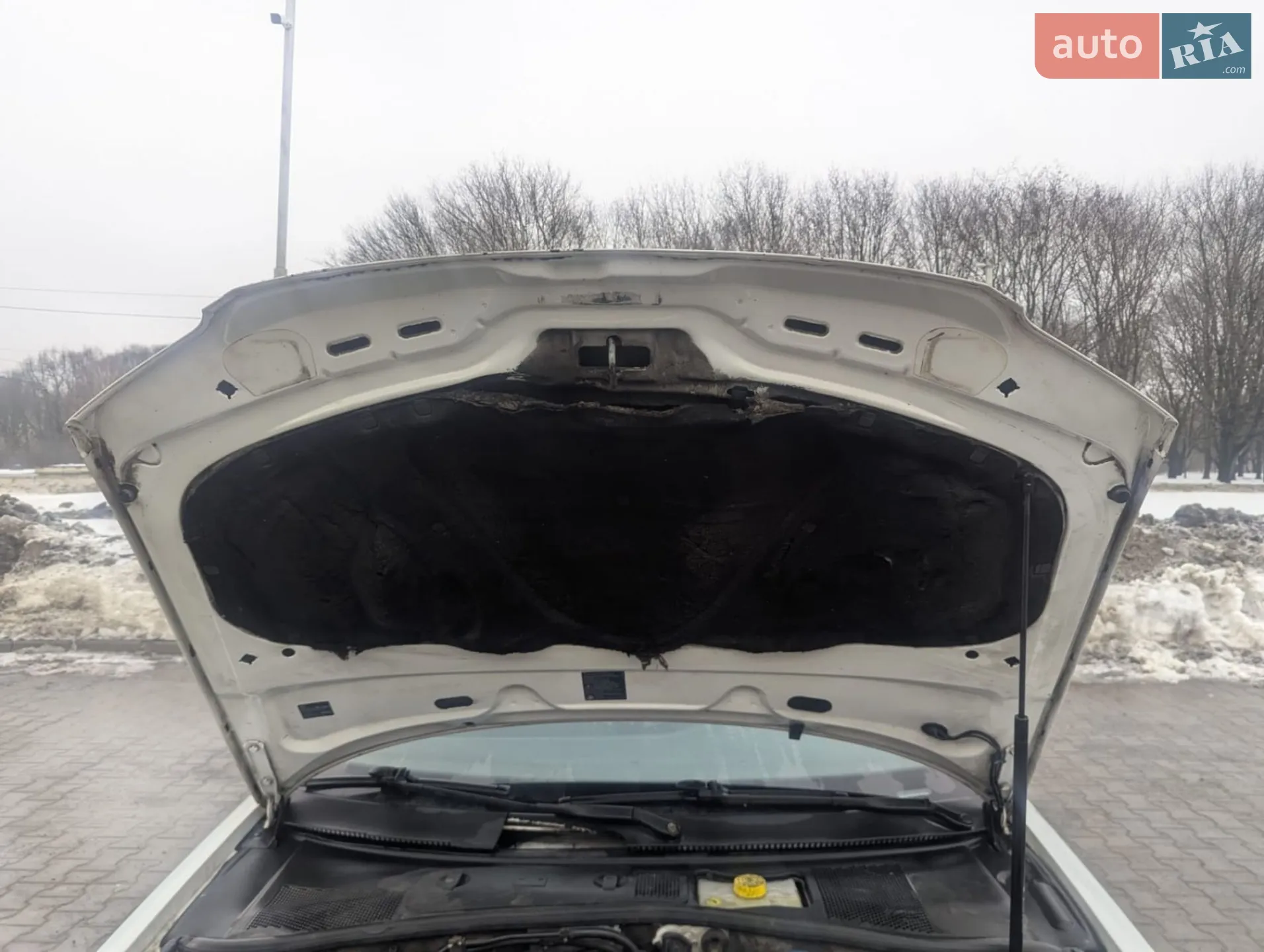 Volkswagen Passat 2005 VIN WVWZZZ3BZ5E157180 фото оголошення 20 з 21