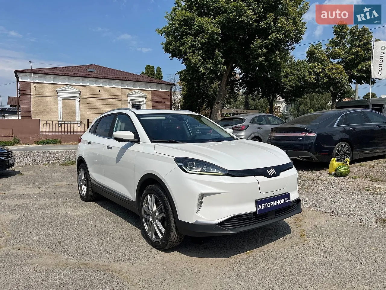 2019 Weltmeister EX5 - фото 1