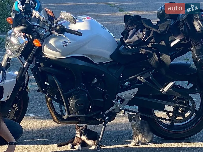 Yamaha FZ6 S2 2008