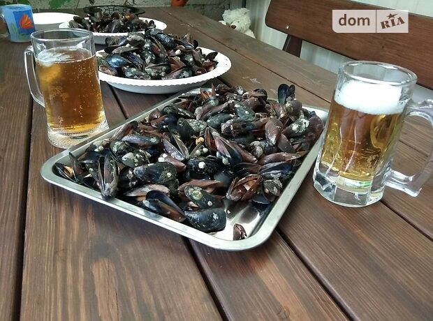 Часть дома посуточно, аренда в Одессе, в районе Дача Ковалёвского, улица Садовского 47, 1 комната фото 1 Часть дома посуточно, аренда в Одессе, в районе Дача Ковалёвского, улица Садовского 47, 1 комната фото 1