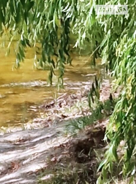 однокомнатная дача. Дача посуточно в селе Виграев, Черкасская обл. фото 1 однокомнатная дача. Дача посуточно в селе Виграев, Черкасская обл. фото 1