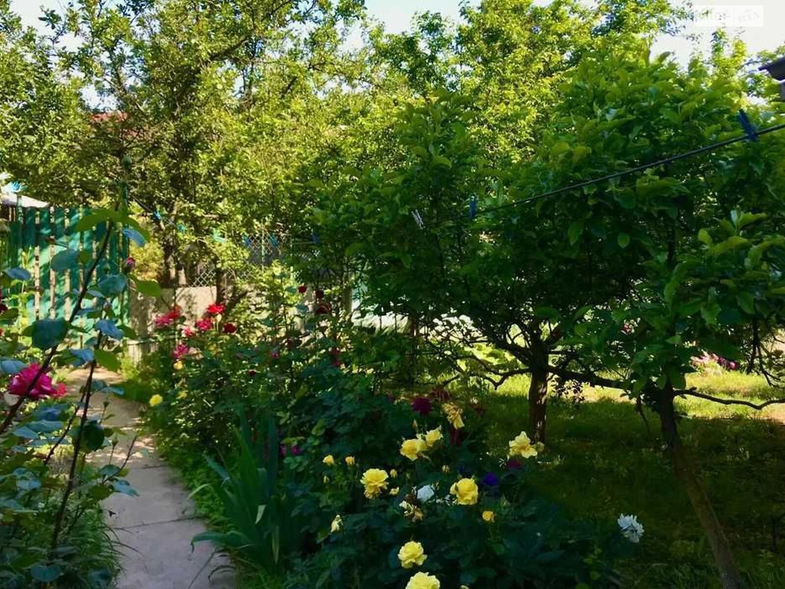 дом посуточно, аренда в Берегове, улица Виноградная, район Берегово фото 1 дом посуточно, аренда в Берегове, улица Виноградная, район Берегово фото 1