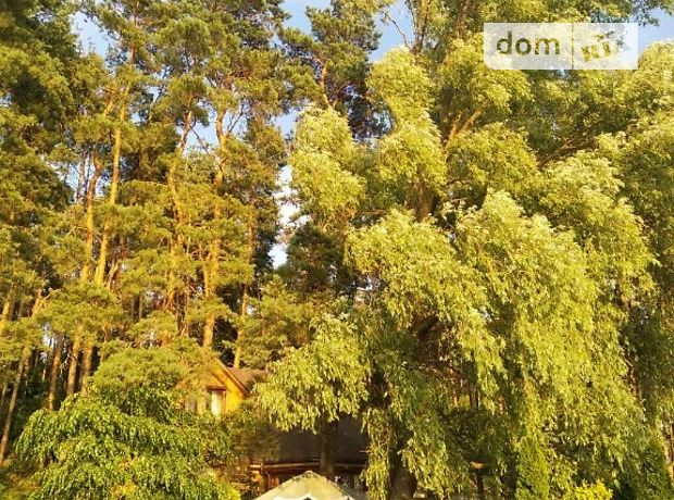 дом посуточно, аренда в Черкассах, улица Курортная фото 1 дом посуточно, аренда в Черкассах, улица Курортная фото 1