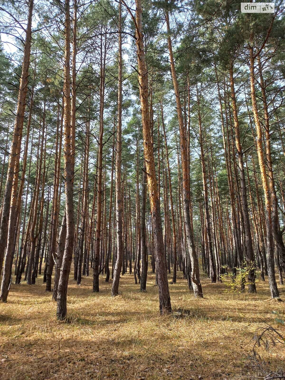 дом посуточно, аренда в Днепре, улица Береговая фото 1