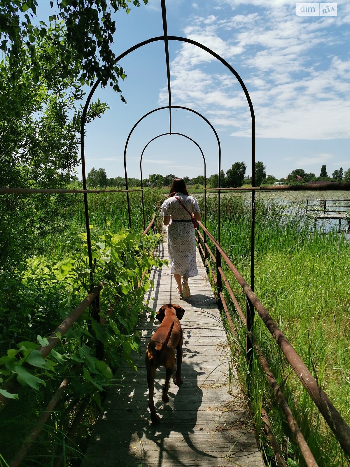 дом посуточно, аренда в Глебовке, Лесі Українки 25 фото 1 дом посуточно, аренда в Глебовке, Лесі Українки 25 фото 1