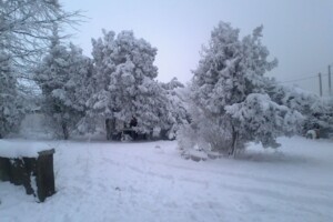 дом посуточно, аренда в Грибовке, улица Береговая фото 2