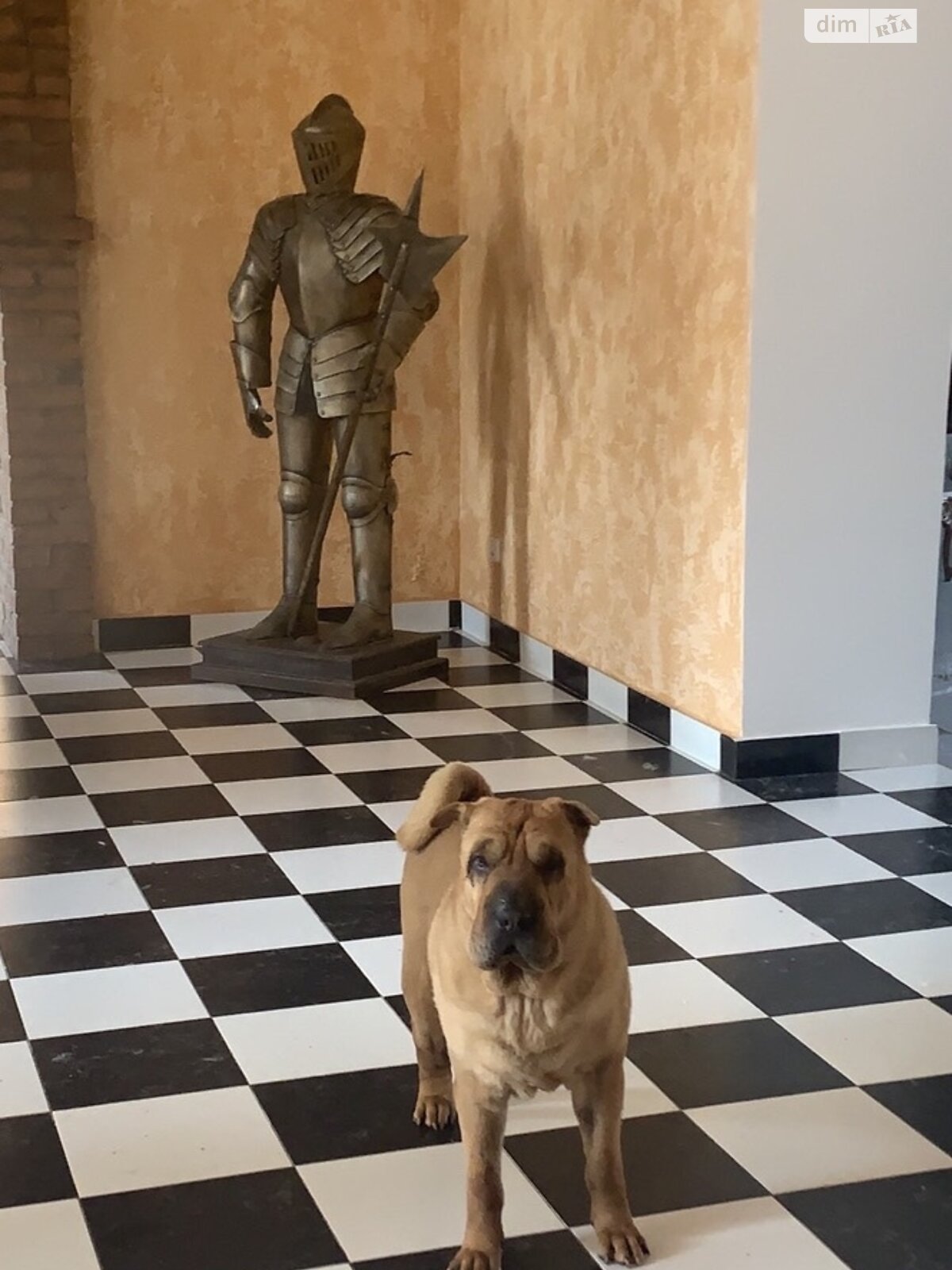 дом посуточно, аренда в Грибовке, улица Береговая фото 1