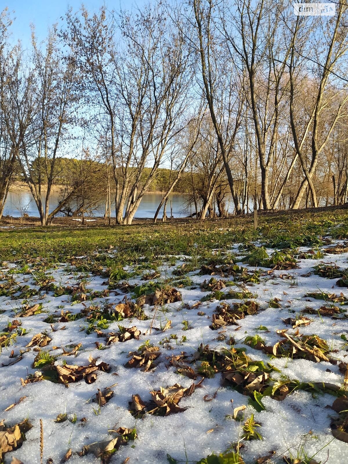 будинок подобово, оренда в Ільківці, вулиця Котляревського 31 фото 1 будинок подобово, оренда в Ільківці, вулиця Котляревського 31 фото 1