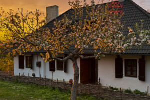 дом посуточно, аренда в Ивачеву Горишнему фото 2