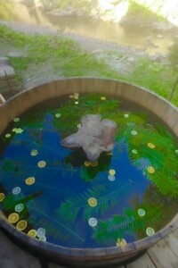 будинок подобово, оренда в Красноїллі, вулиця Дубівська 3 фото 2