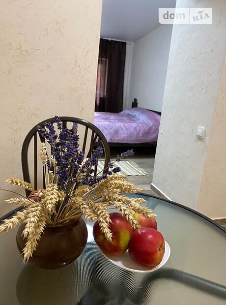 дом посуточно, аренда в селе Черняхов, вулКозацька 14a фото 1 дом посуточно, аренда в селе Черняхов, вулКозацька 14a фото 1