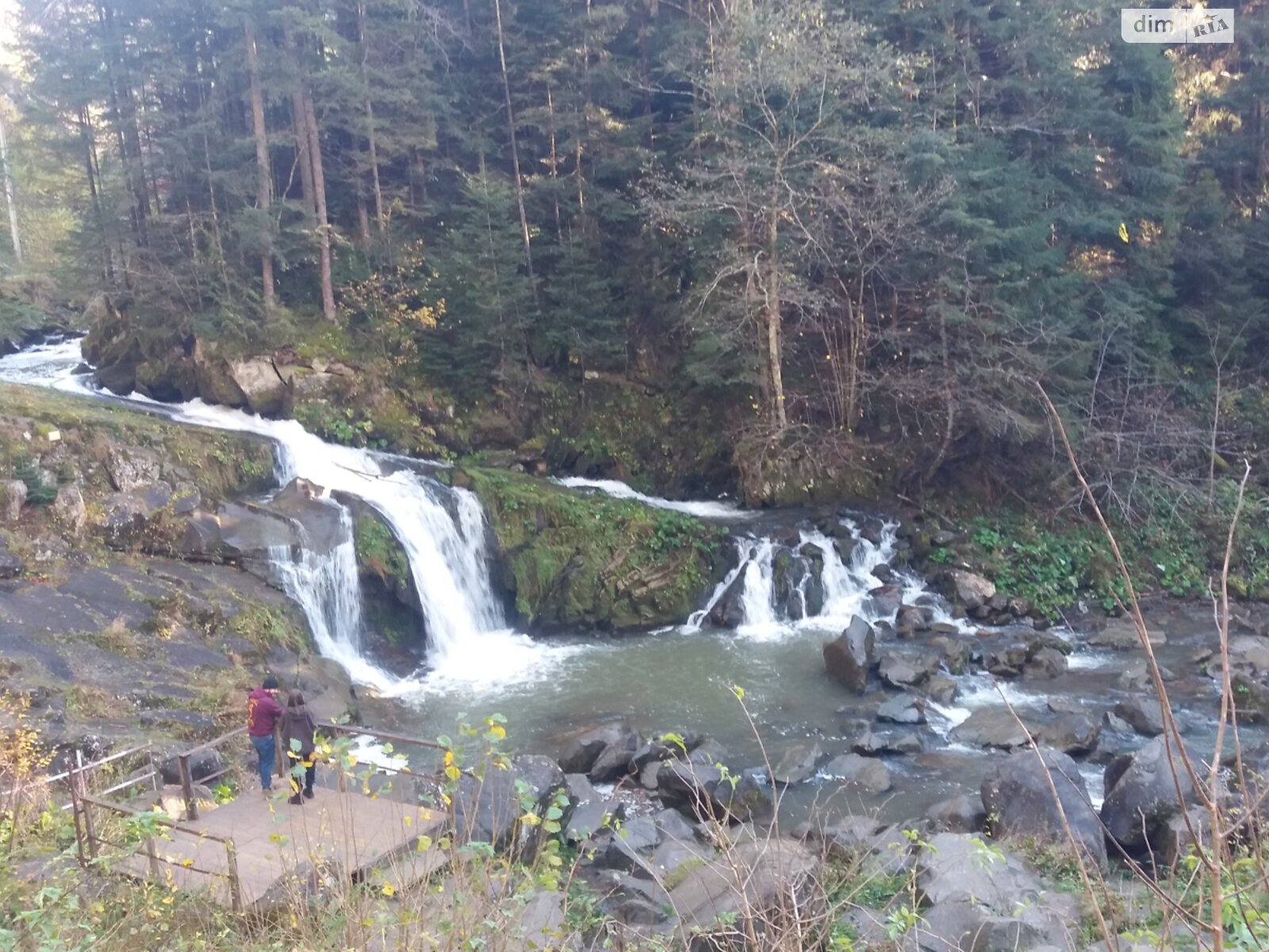 дом посуточно, аренда в Каменке, вулиця Лесі Українки фото 1