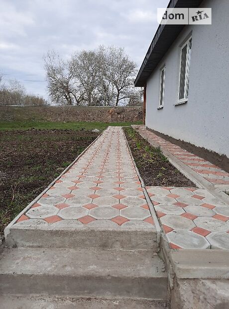 дом посуточно, аренда в Каневе, набережна 11, район Канев фото 1 дом посуточно, аренда в Каневе, набережна 11, район Канев фото 1