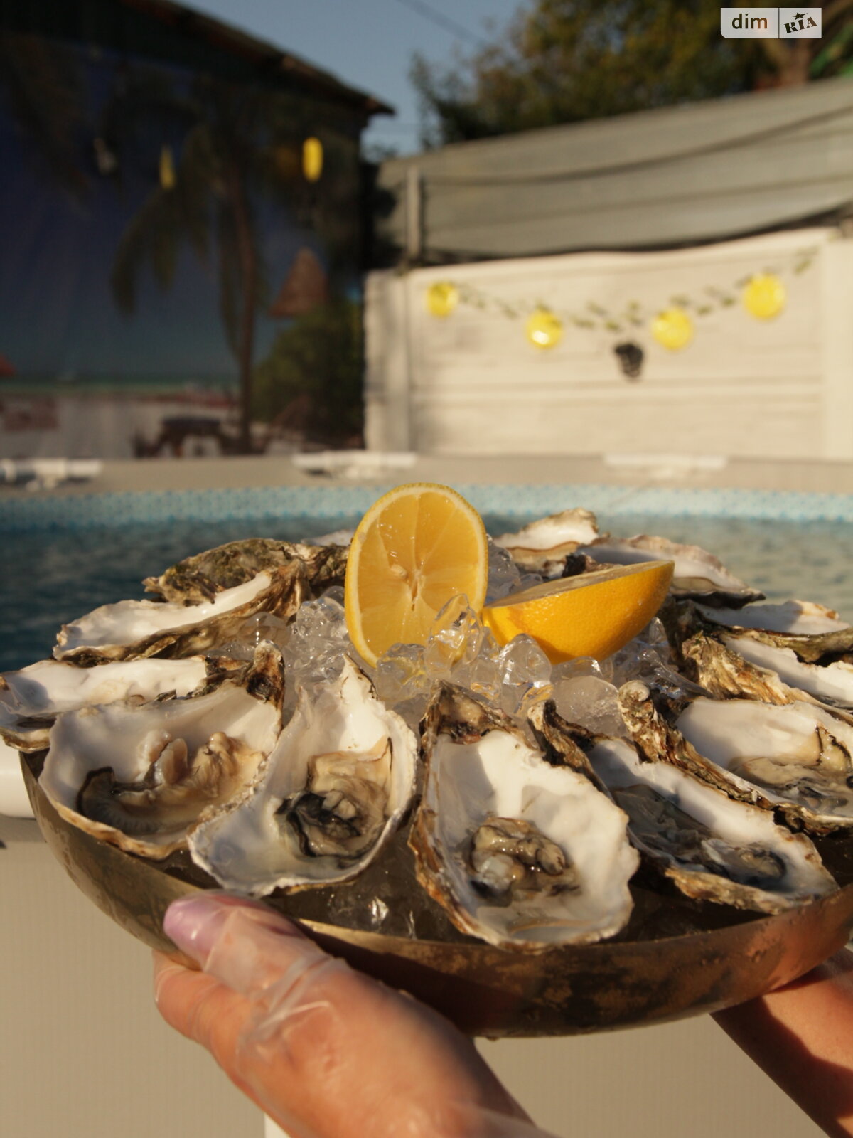 будинок подобово, оренда в Києві, вулиця 78-а Садова, район Осокорки фото 1 будинок подобово, оренда в Києві, вулиця 78-а Садова, район Осокорки фото 1