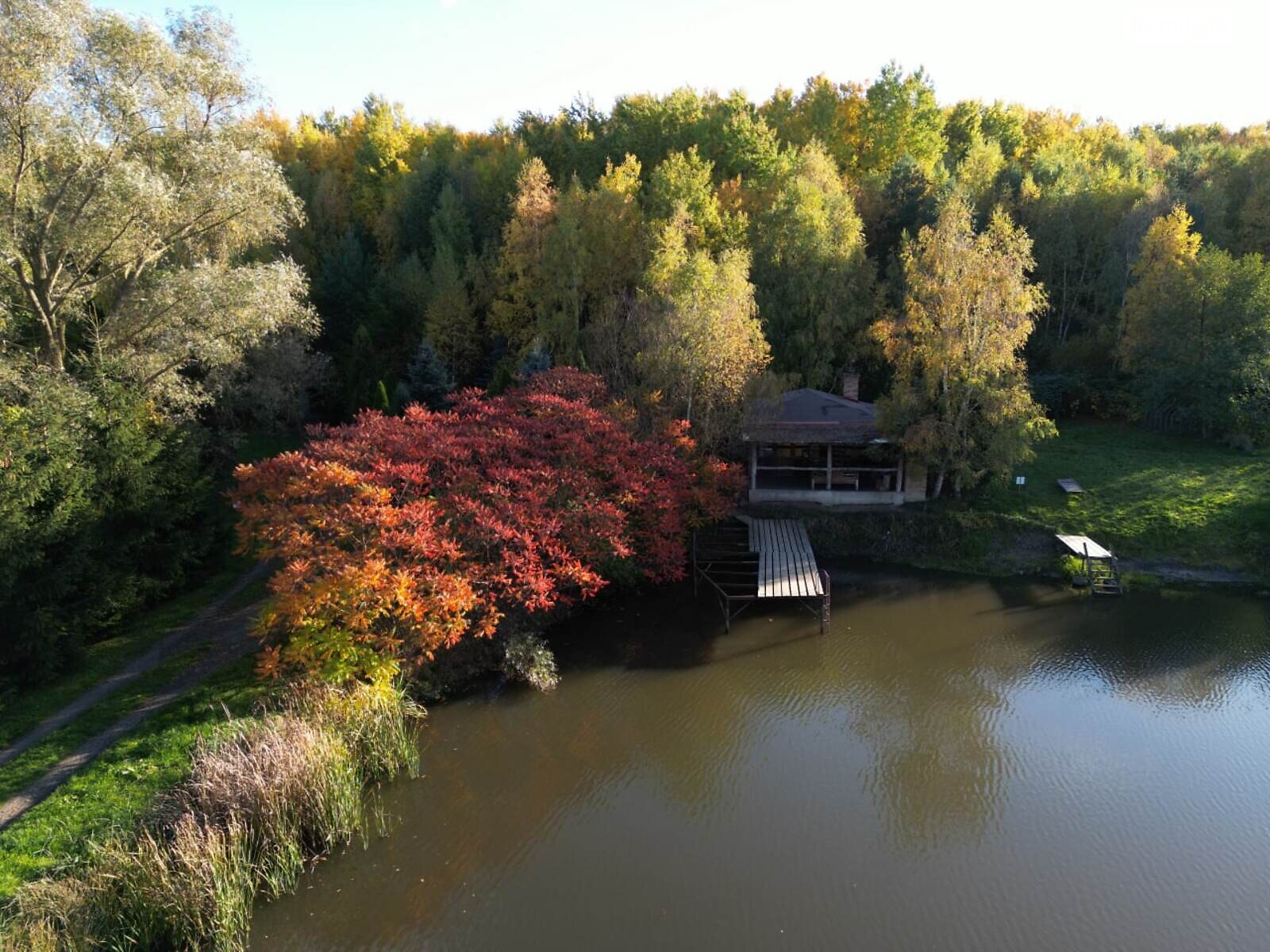 дом посуточно, аренда в Королине, Зелена фото 1