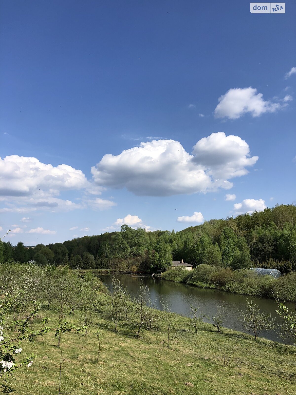 дом посуточно, аренда в Королине, Зелена фото 1