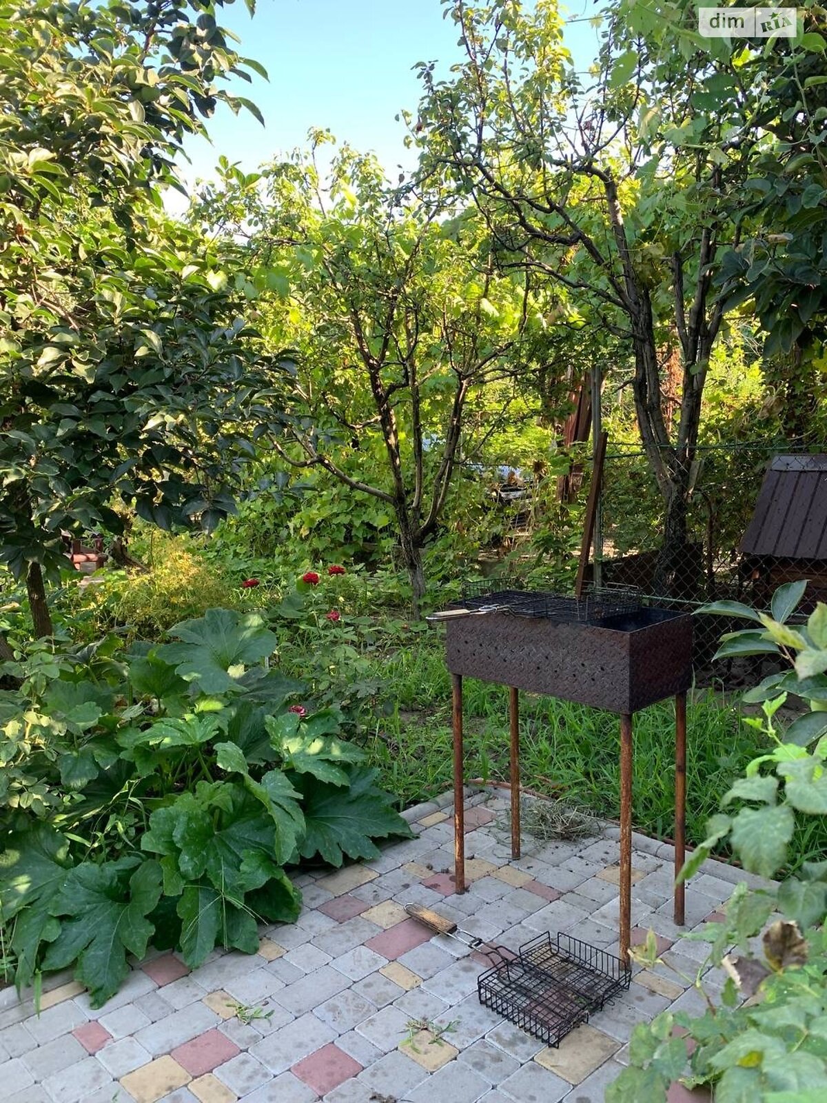 дом посуточно, аренда в Крыжановка фото 1 дом посуточно, аренда в Крыжановка фото 1