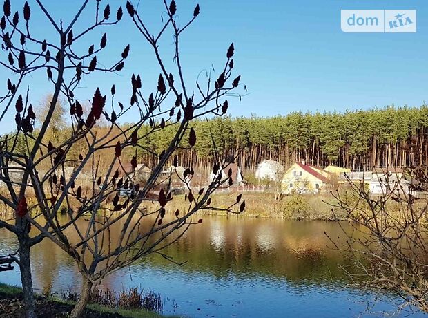 дом посуточно, аренда в селе Николаевка, ул. Квитнева, 9 фото 1 дом посуточно, аренда в селе Николаевка, ул. Квитнева, 9 фото 1