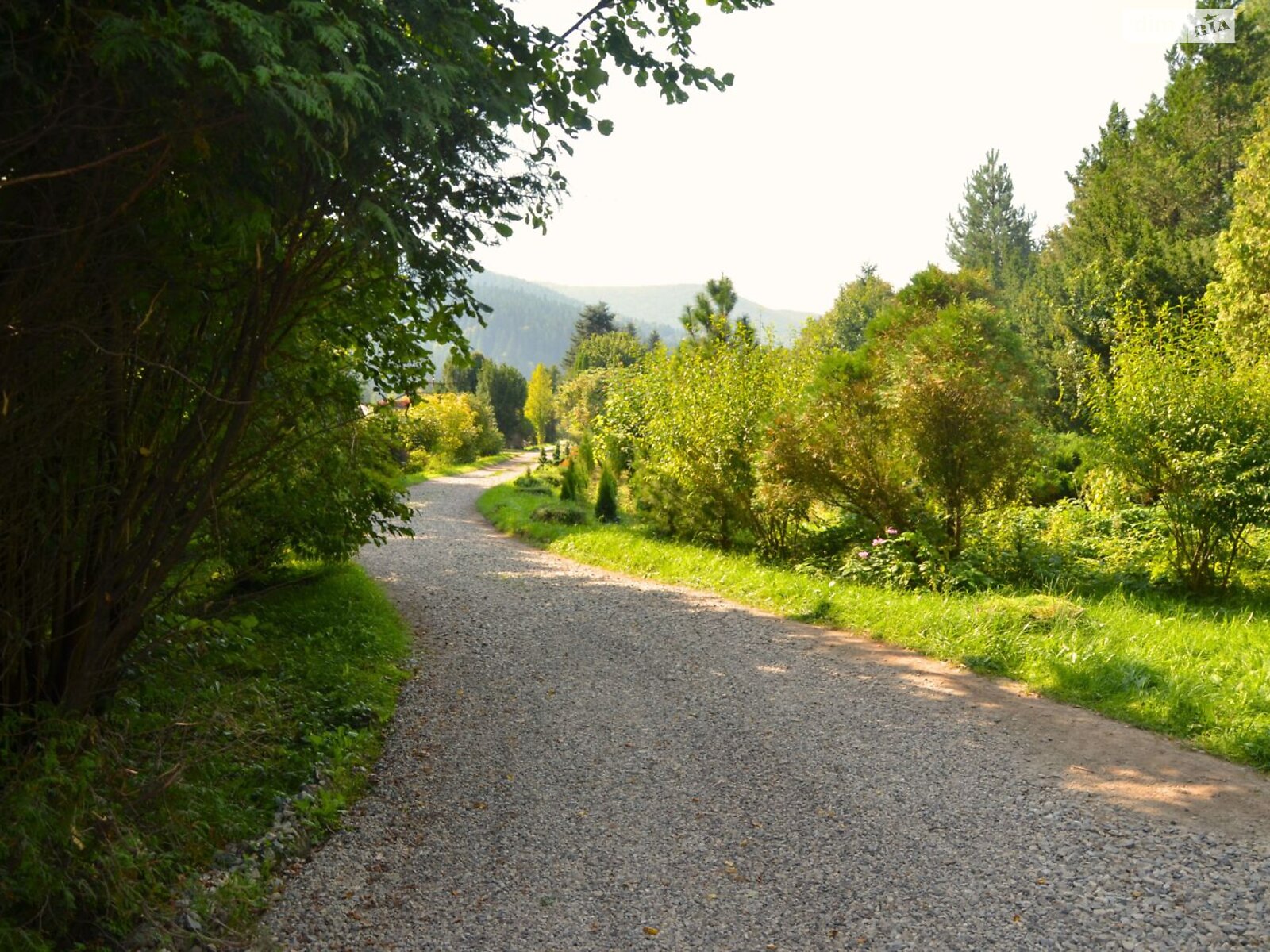 дом посуточно, аренда в Микуличине, улица Фальчи (1 мая) фото 1