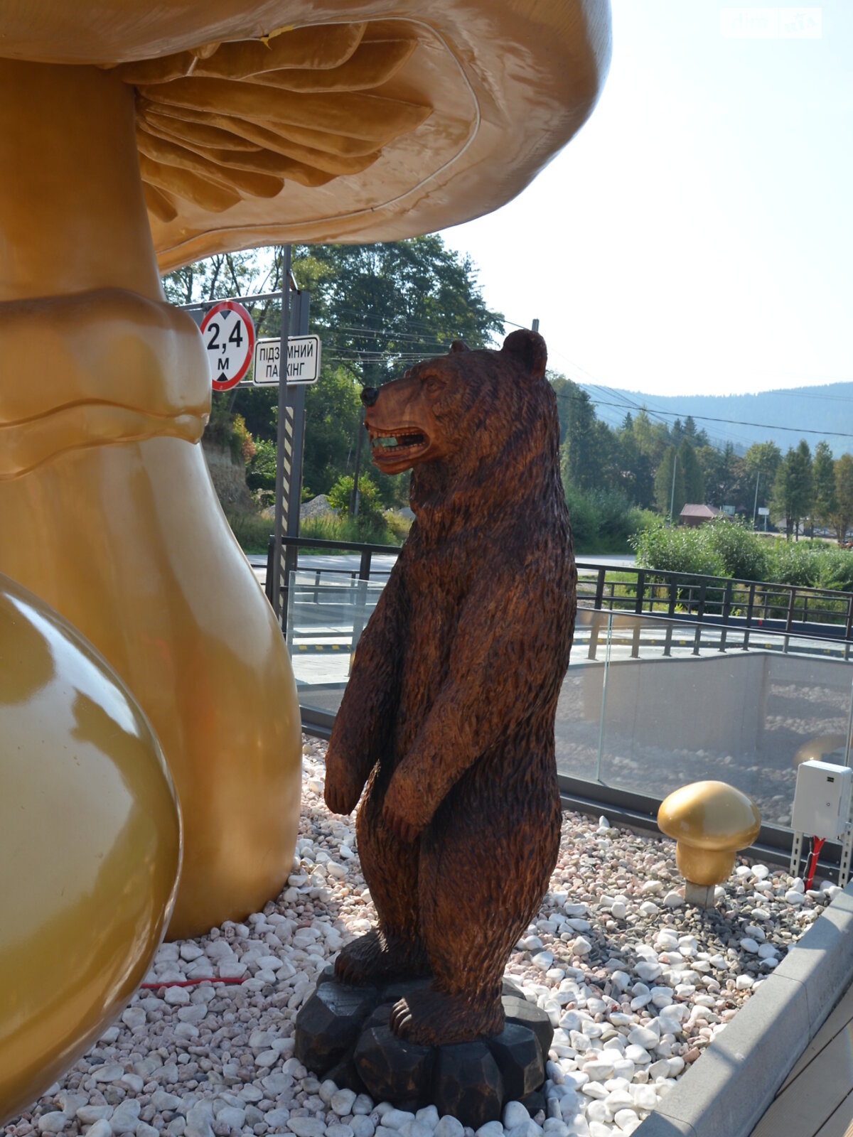 дом посуточно, аренда в Микуличине, улица Фальчи (1 мая) фото 1