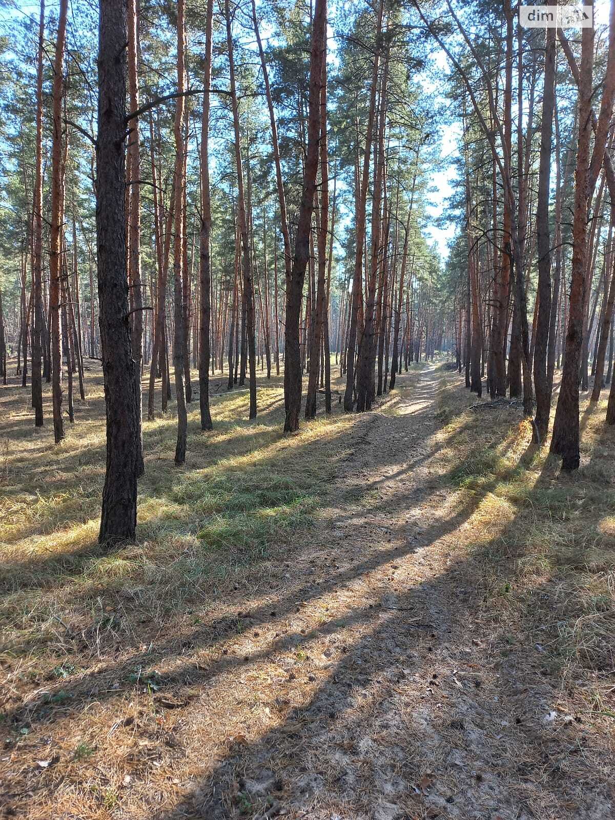 дом посуточно, аренда в Обуховке, улица Береговая фото 1