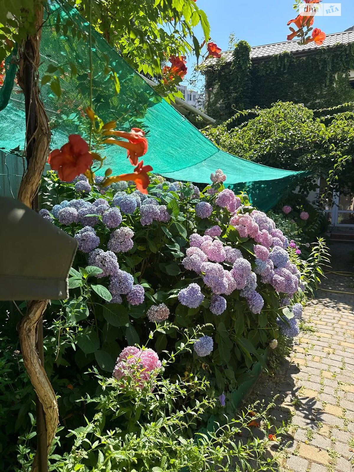 дом посуточно, аренда в Одессе, переулок Клубничный, район Большой Фонтан фото 1 дом посуточно, аренда в Одессе, переулок Клубничный, район Большой Фонтан фото 1