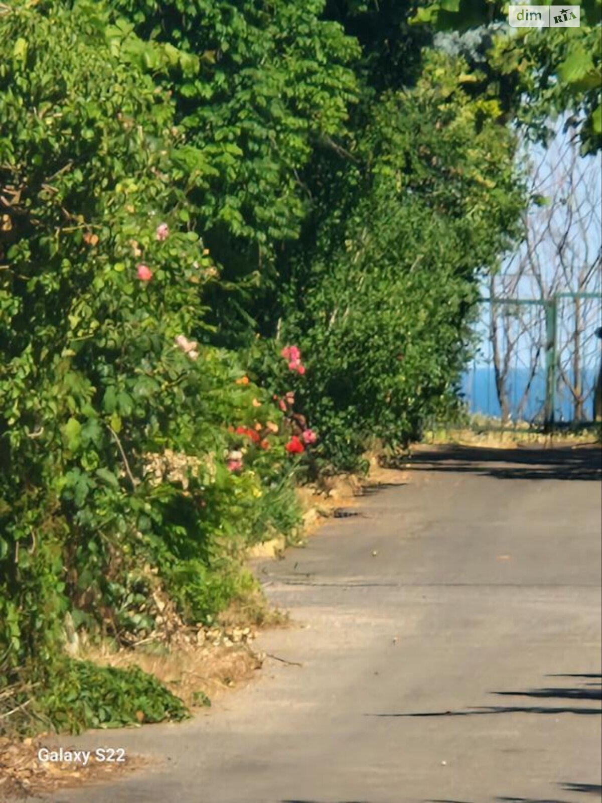 будинок подобово, оренда в Одесі, район Чорноморка фото 1 будинок подобово, оренда в Одесі, район Чорноморка фото 1