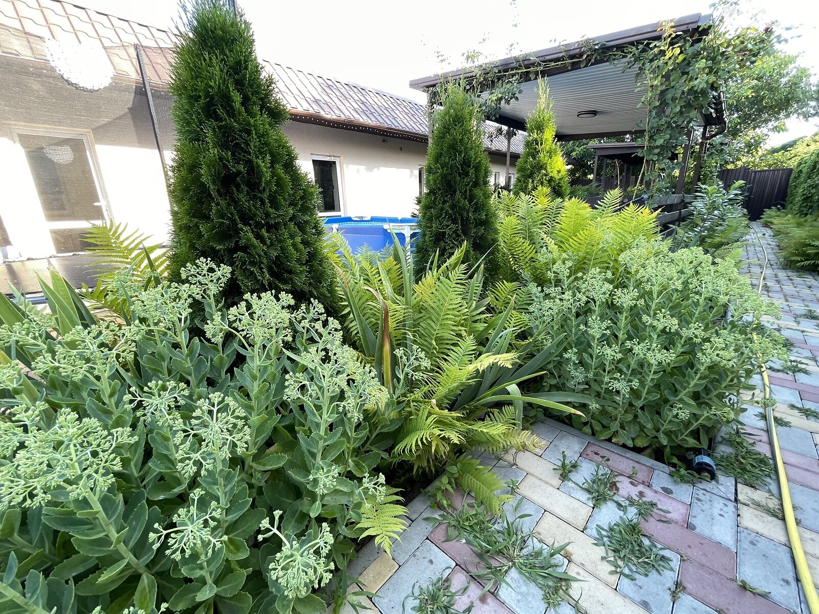 дом посуточно, аренда в Одессе, район Киевский фото 1 дом посуточно, аренда в Одессе, район Киевский фото 1