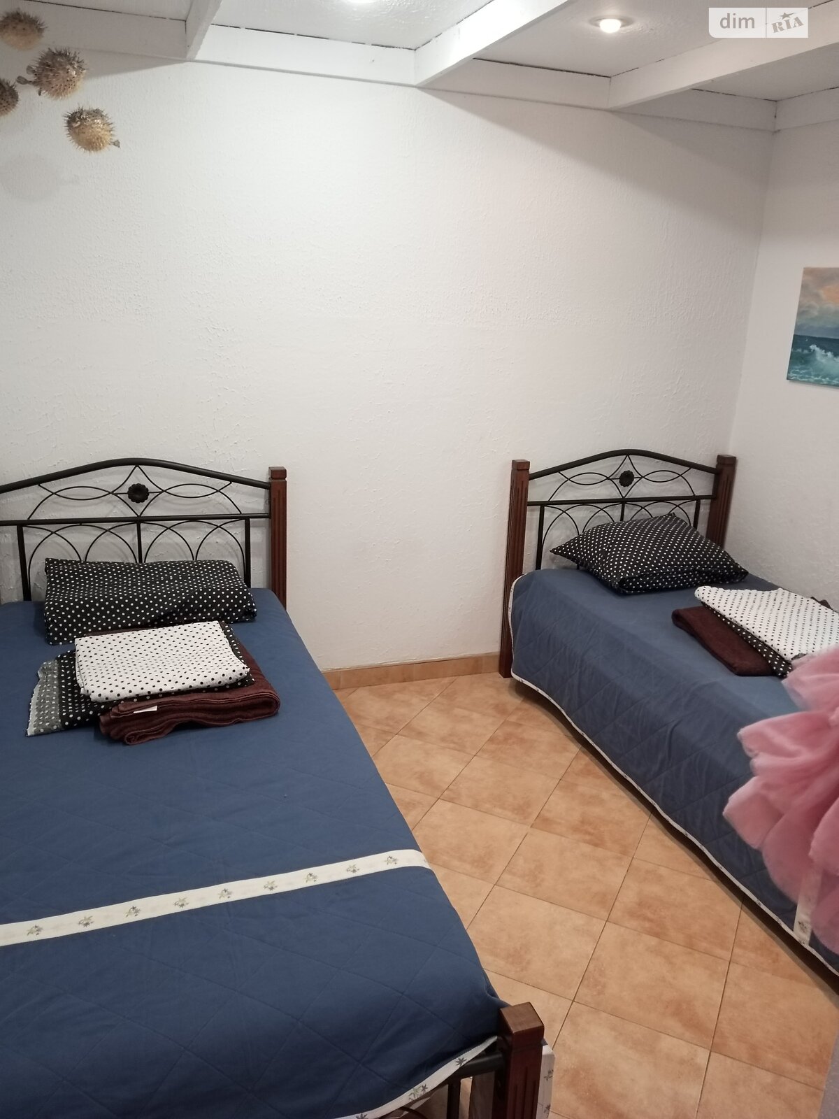 дом посуточно, аренда в Одессе, улица Шкиперская, район Приморский фото 1 дом посуточно, аренда в Одессе, улица Шкиперская, район Приморский фото 1