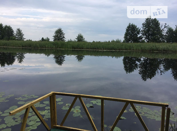 дом посуточно, аренда в селе Любеч фото 1 дом посуточно, аренда в селе Любеч фото 1