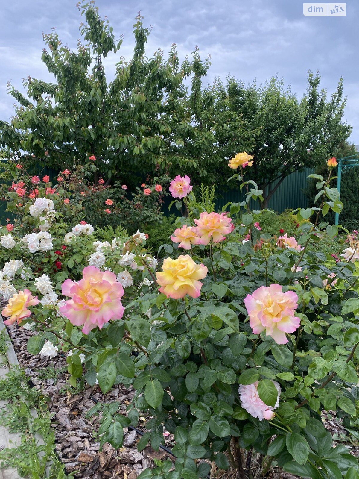 будинок подобово, оренда в Санжійці, вулиця Троїцька фото 1 будинок подобово, оренда в Санжійці, вулиця Троїцька фото 1