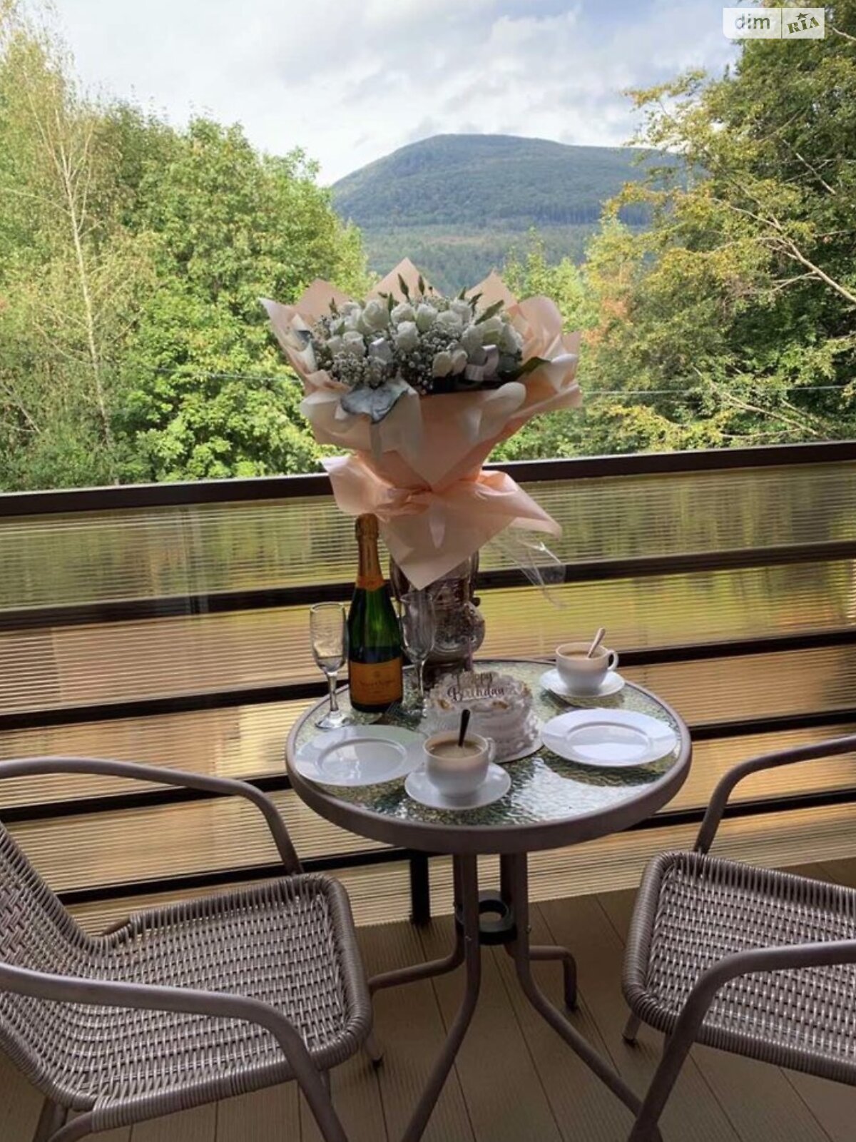 будинок подобово, оренда в Синяку, вулиця Санаторна фото 1