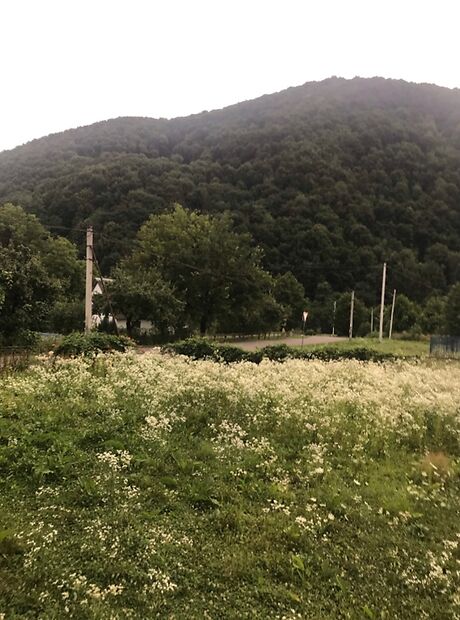 дом посуточно, аренда в Свалявке, аул.Головна с.Солочин 233 фото 1 дом посуточно, аренда в Свалявке, аул.Головна с.Солочин 233 фото 1