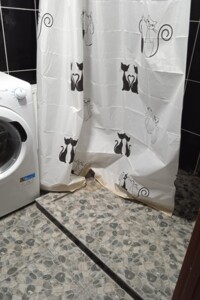 будинок подобово, оренда в Нестерварці, вулиця Козацька фото 2