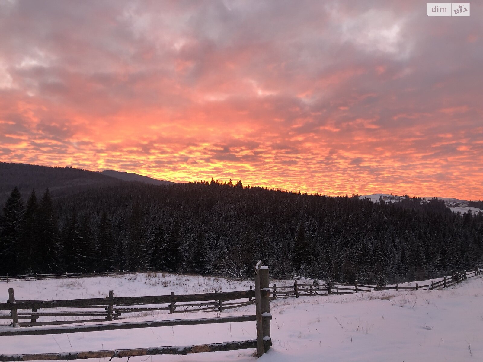 дом посуточно, аренда в Ворохте, улица Франка 20 фото 1