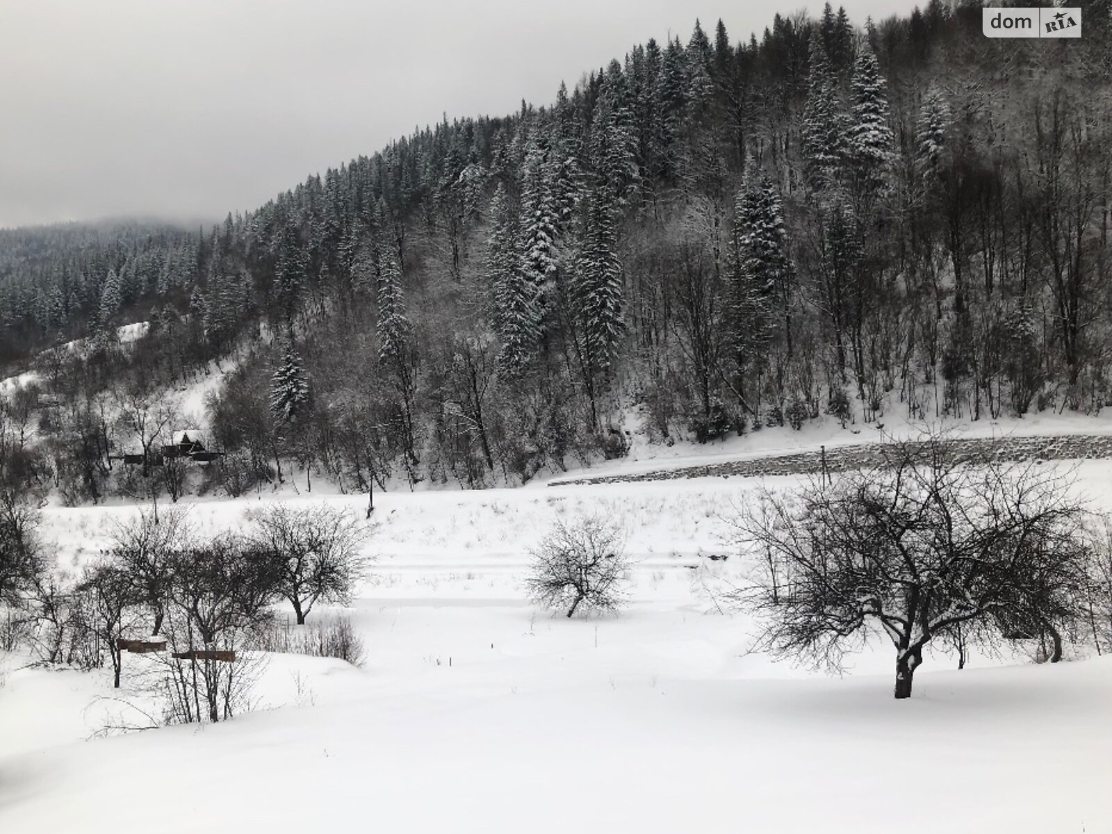 таунхаус посуточно, аренда в Микуличине, Грушевського фото 1