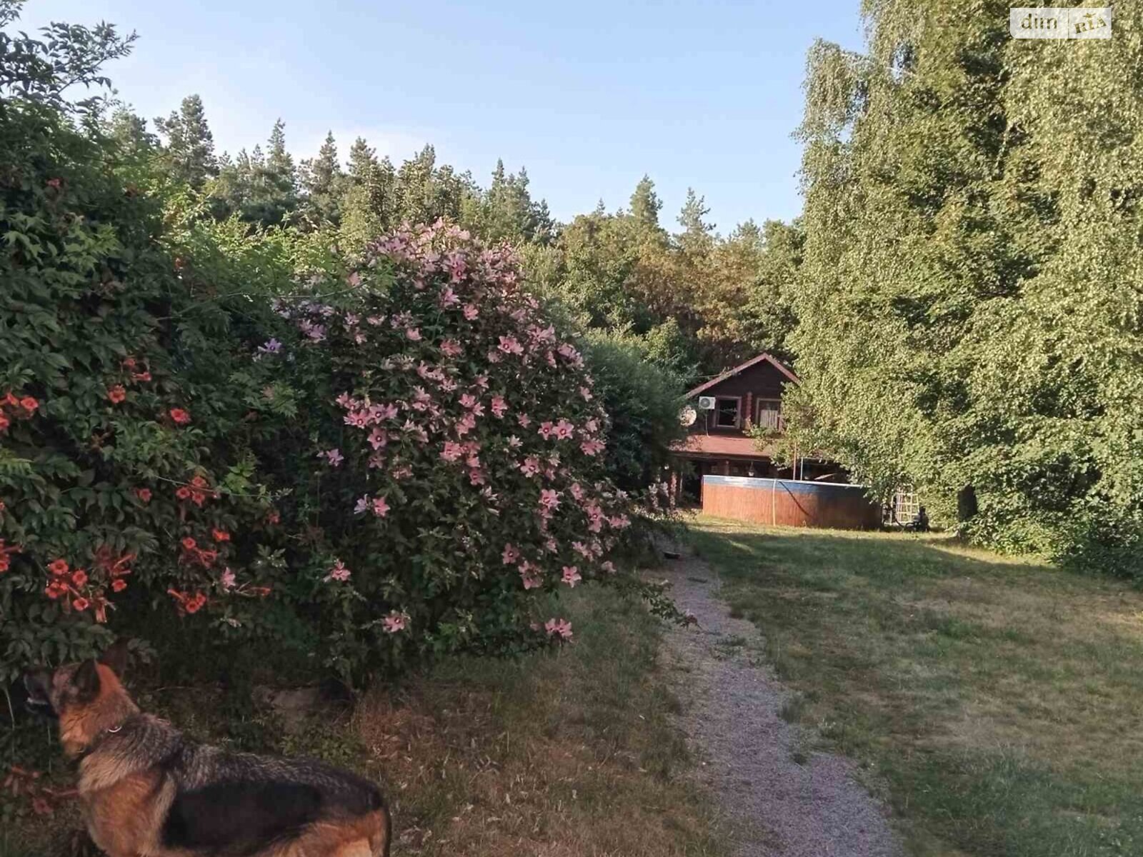 дом посуточно, аренда в Зозули, улица Соловьиная фото 1