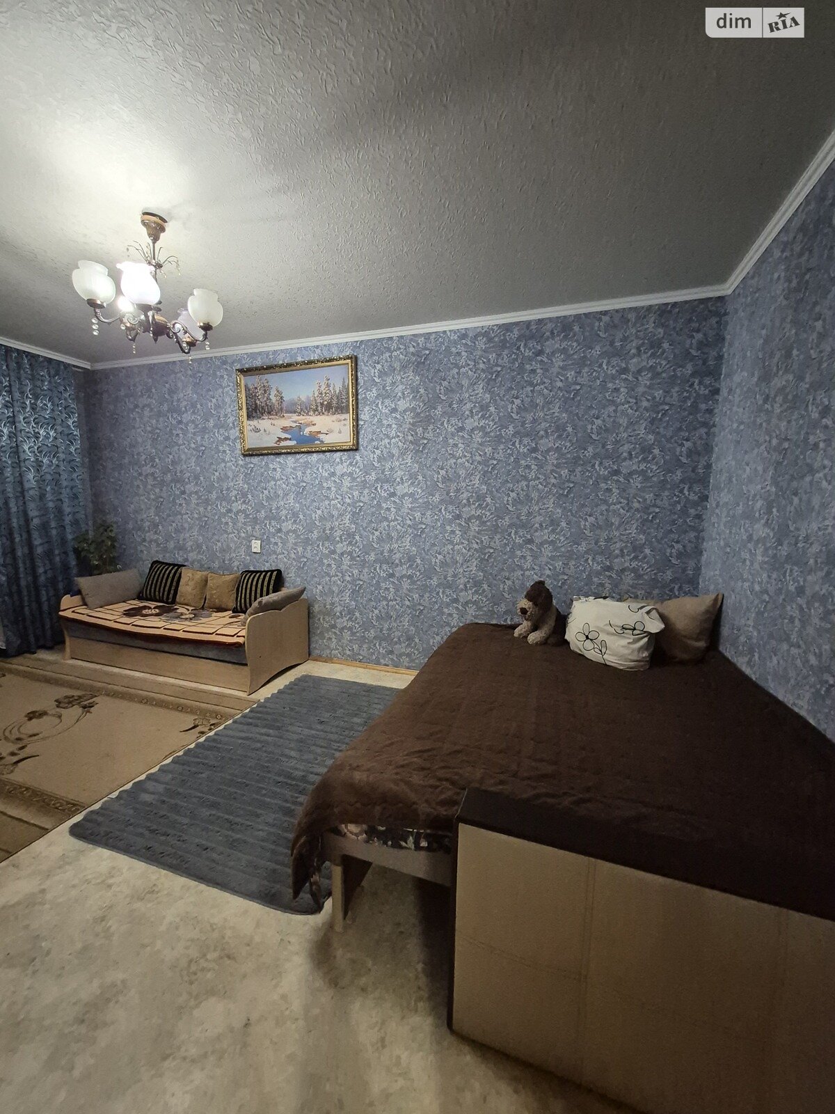 однокімнатна квартира в Білій Церкві, район ДНС, на бул. Олександрійський в оренду на короткий термін подобово фото 1 однокімнатна квартира в Білій Церкві, район ДНС, на бул. Олександрійський в оренду на короткий термін подобово фото 1