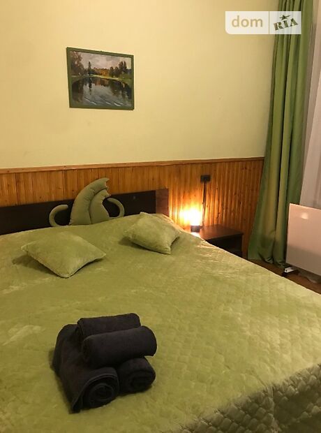 однокімнатна квартира в Чернівцях, район Центр, на вул. Головна 45 в оренду на короткий термін подобово фото 1 однокімнатна квартира в Чернівцях, район Центр, на вул. Головна 45 в оренду на короткий термін подобово фото 1