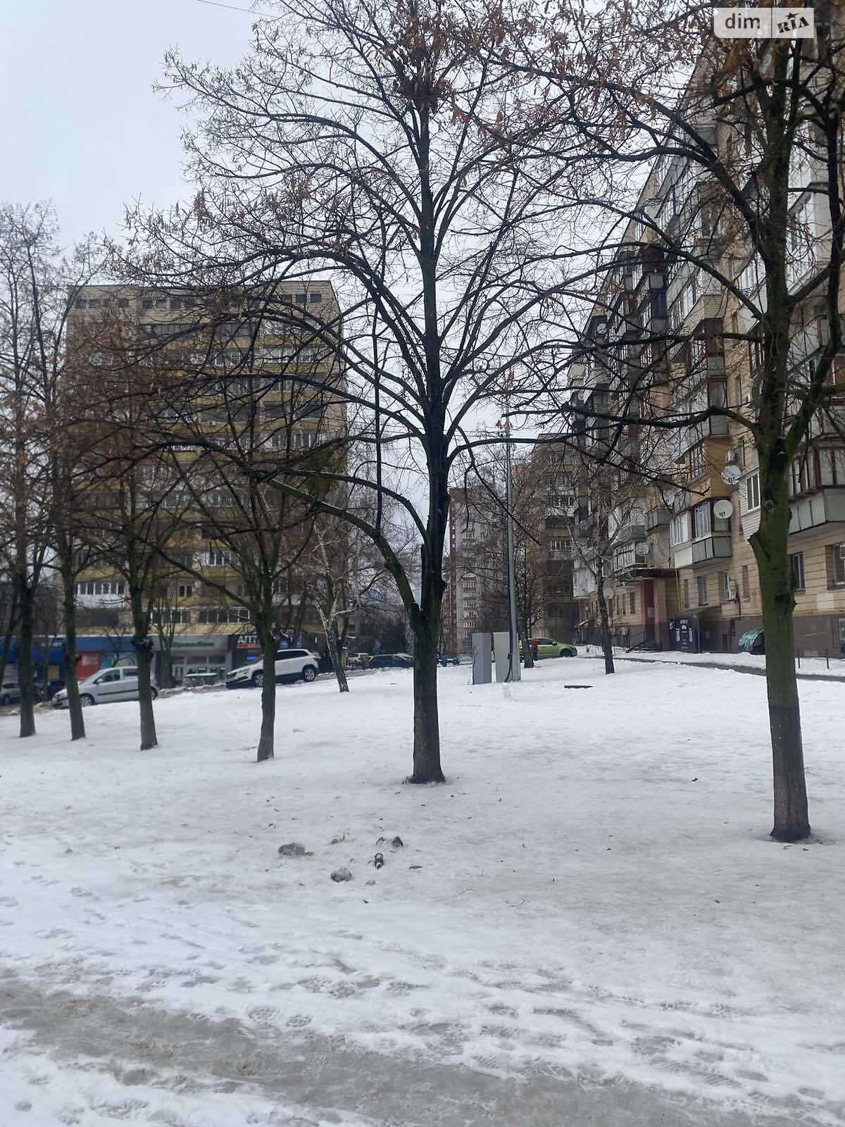 однокомнатная квартира в Киеве, район Саперная Слободка, на просп. Науки 11 в аренду на короткий срок посуточно фото 1