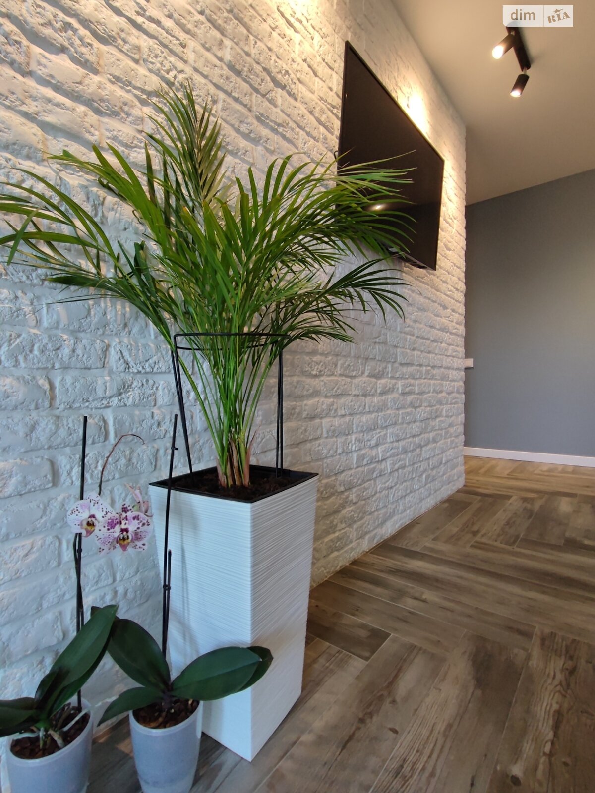 однокомнатная квартира в Киеве, район Соломянка, на ул. Митрополита Василия Липковского 17 в аренду на короткий срок посуточно фото 1