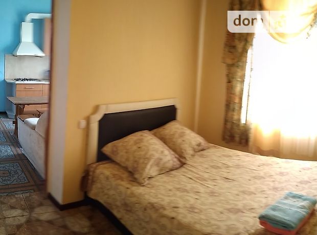 однокомнатная квартира в Кропивницком, район Центр, на Пер. Банный 3, в аренду на короткий срок посуточно фото 1 однокомнатная квартира в Кропивницком, район Центр, на Пер. Банный 3, в аренду на короткий срок посуточно фото 1