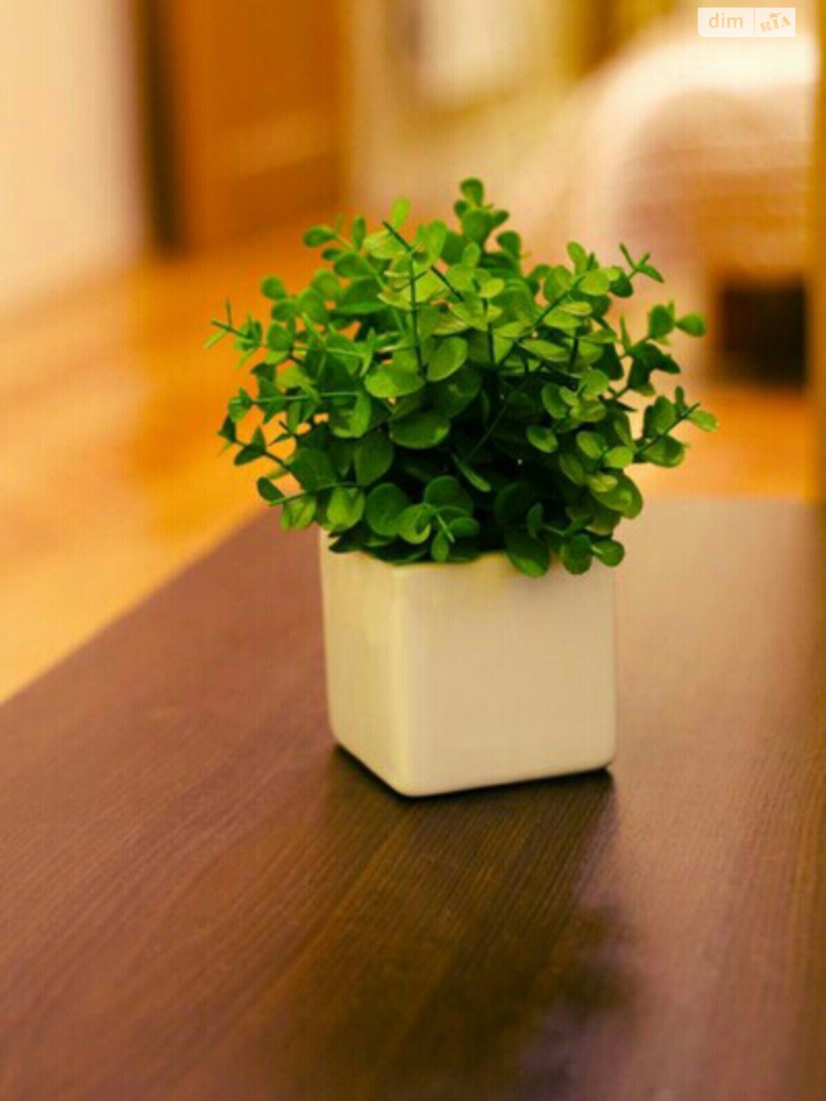 двокімнатна квартира в Львові, район Галицький, на вул. Стефаника 15 в оренду на короткий термін подобово фото 1 двокімнатна квартира в Львові, район Галицький, на вул. Стефаника 15 в оренду на короткий термін подобово фото 1