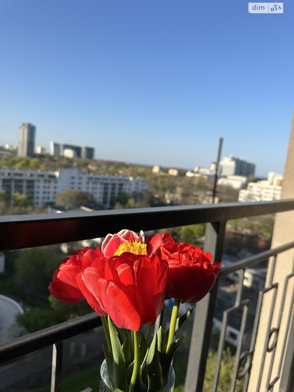 однокімнатна квартира в Одесі, район Аркадія, на вул. Генуезька 1Е корпус 1 в оренду на короткий термін подобово фото 1 однокімнатна квартира в Одесі, район Аркадія, на вул. Генуезька 1Е корпус 1 в оренду на короткий термін подобово фото 1