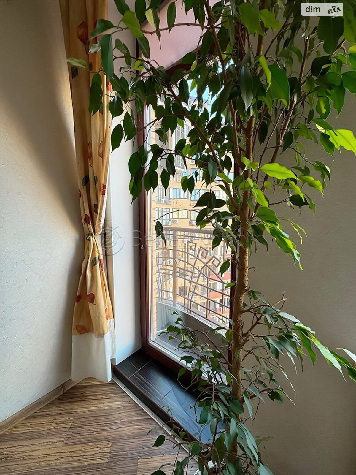 однокомнатная квартира в Одессе, район Аркадия, на ул. Тенистая 9/12 в аренду на короткий срок посуточно фото 1 однокомнатная квартира в Одессе, район Аркадия, на ул. Тенистая 9/12 в аренду на короткий срок посуточно фото 1