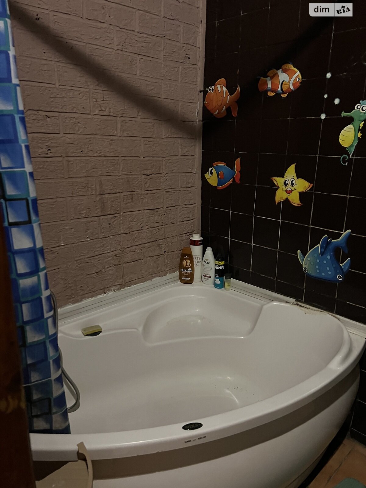 двухкомнатная квартира в Одессе, район Приморский, на пер. Чайковского 12 в аренду на короткий срок посуточно фото 1 двухкомнатная квартира в Одессе, район Приморский, на пер. Чайковского 12 в аренду на короткий срок посуточно фото 1