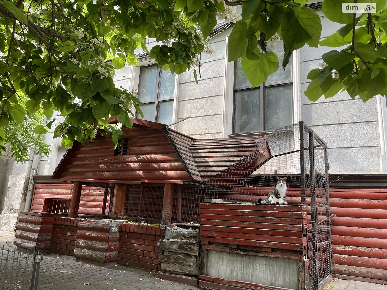 однокомнатная квартира в Одессе, район Центр, на пер. Чайковского 16 в аренду на короткий срок посуточно фото 1 однокомнатная квартира в Одессе, район Центр, на пер. Чайковского 16 в аренду на короткий срок посуточно фото 1
