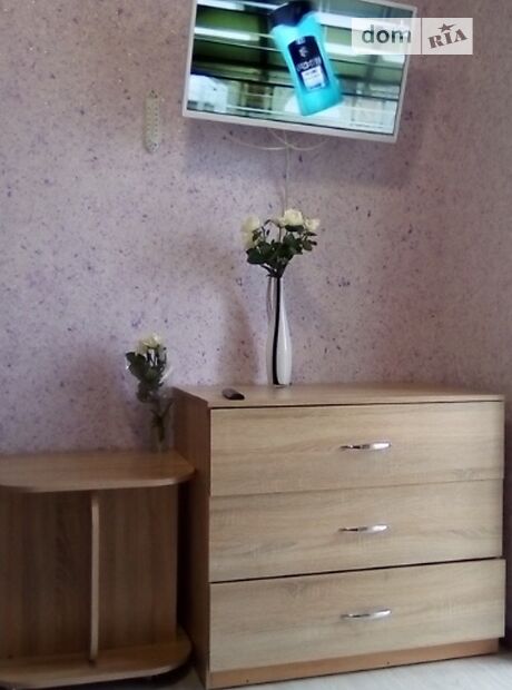 однокімнатна квартира в Вінниці, район Вишенька, на вул. 600-річчя в оренду на короткий термін подобово фото 1 однокімнатна квартира в Вінниці, район Вишенька, на вул. 600-річчя в оренду на короткий термін подобово фото 1