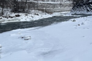 таунхаус посуточно, аренда в Микуличине, улица Грушевского фото 2