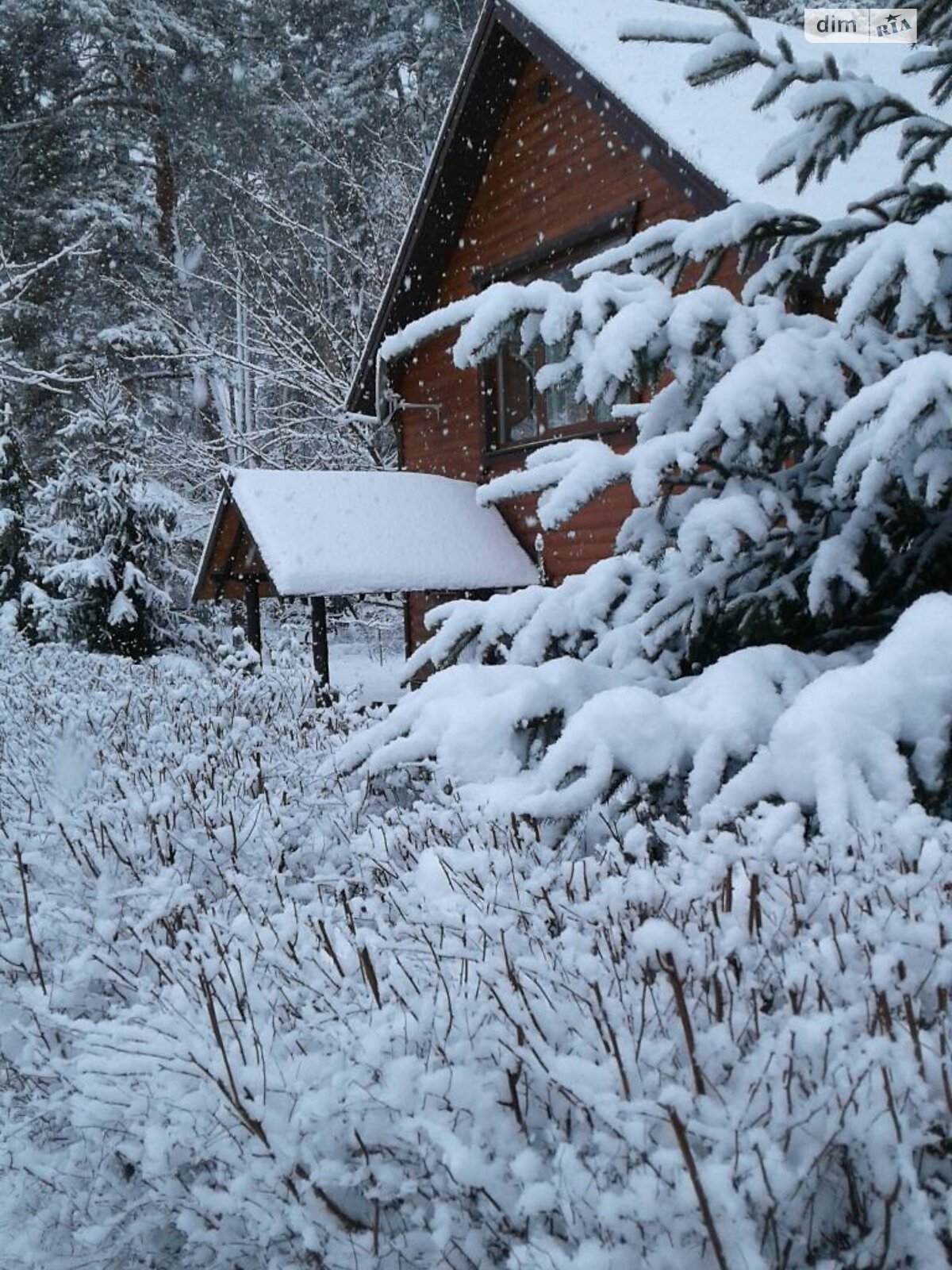 таунхаус подобово, оренда в Орлівщині фото 1